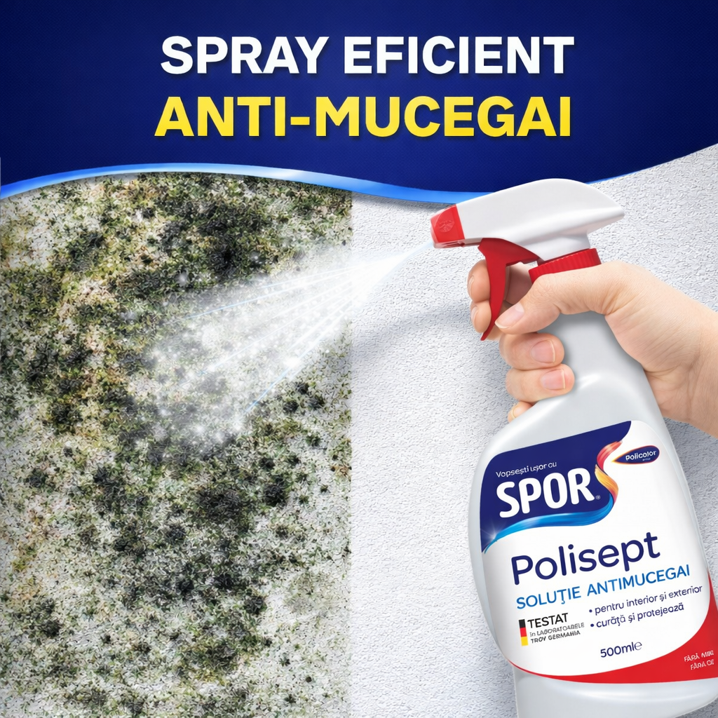 Spray Anti-Mucegai Puternic – Pereți, Lemn, Rosturi